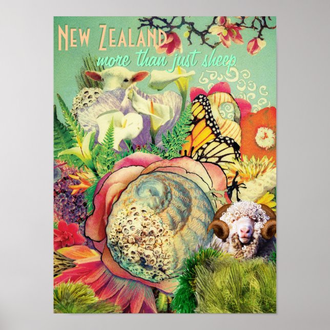 Pôster Nova Zelândia mais do que só ovelhas (Frente)