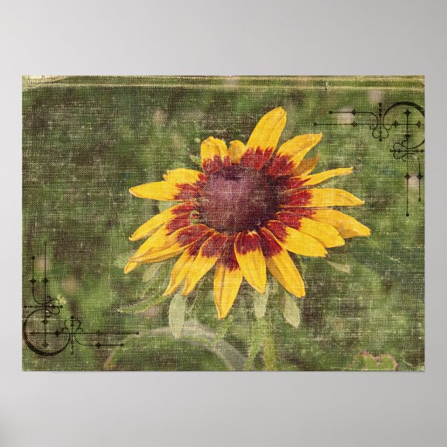 Pôster Novamente uma Flor (Frente)