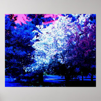 Pôster Novas Cores de Primavera