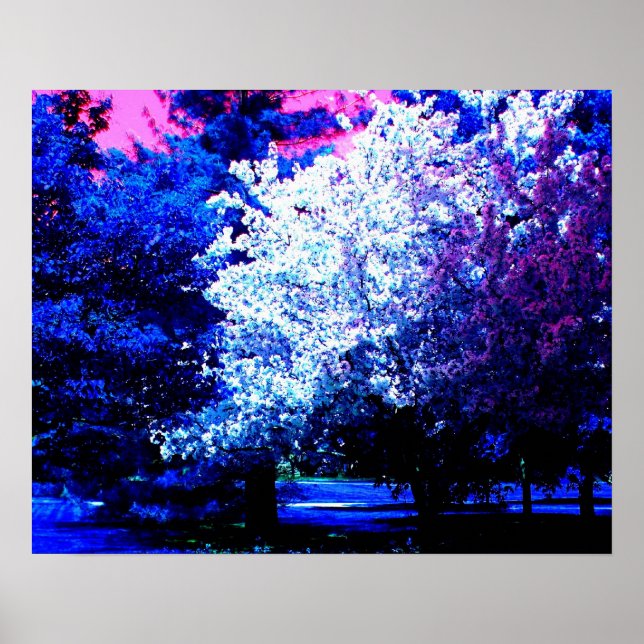 Pôster Novas Cores de Primavera (Frente)