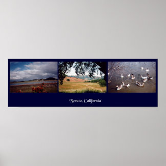 Pôster Novato, Califórnia