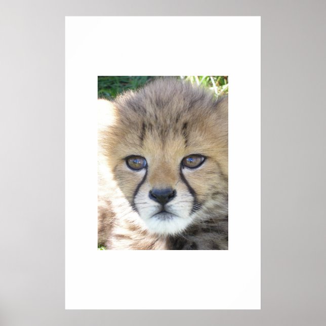 Pôster Novembro doce (Frente)