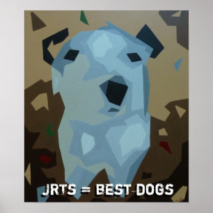 Poster novo