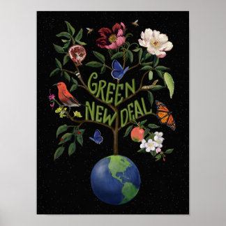 Poster Novo Acordo Verde