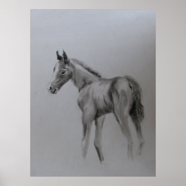 Pôster Novo Bebê (Frente)