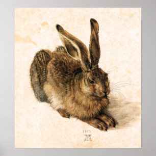 Poster novo da lebre de Albrecht Durer