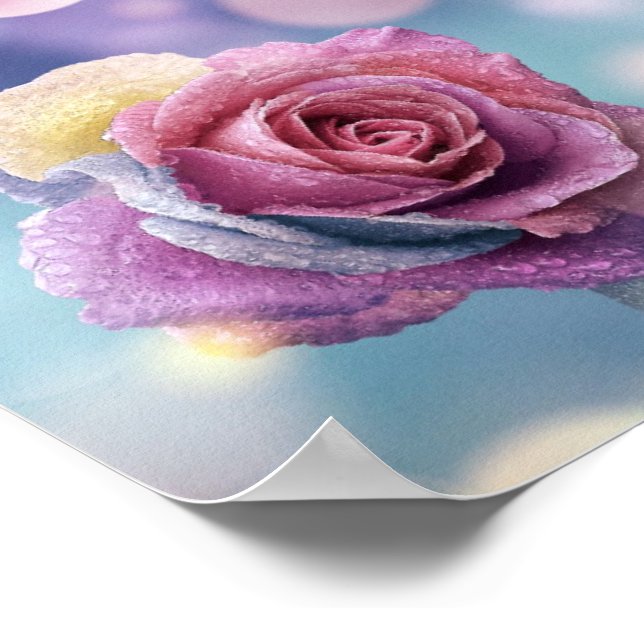 Poster Novo Eden Hummingbird e Rosa (Borda)