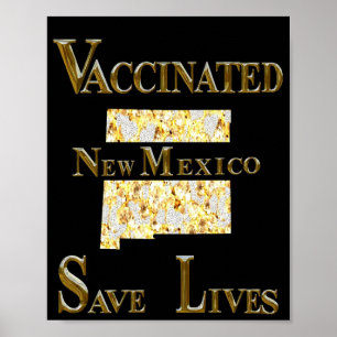 POSTER NOVO MÉXICO