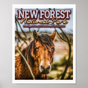 POSTER NOVO PARQUE FLORESTAL NACIONAL - NOVO PÔNIO FLORES
