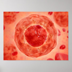 Pôster Núcleo Celular Com Cromossoma 2