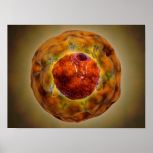 Poster Núcleo de pilha com cromossoma 3