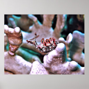 Poster Nudi magnífico