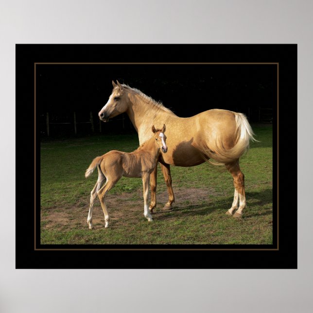 Poster Nugget ouro (Frente)