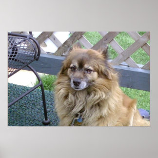 Pôster Número Um Filho