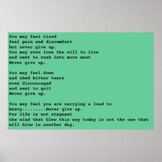 Poster Nunca desista