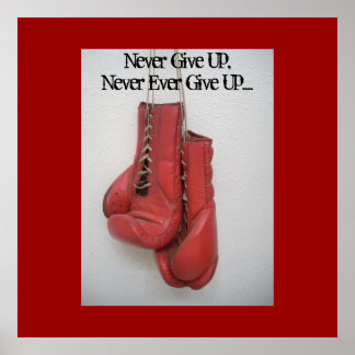 Poster Nunca Desista, Nunca Desiste....
