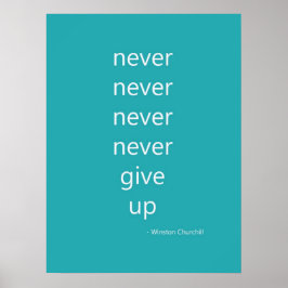 Poster Nunca Desistir