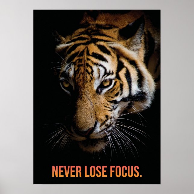 Poster Nunca Foco no Perder - Tigre, Sucesso, Empreendedo (Frente)