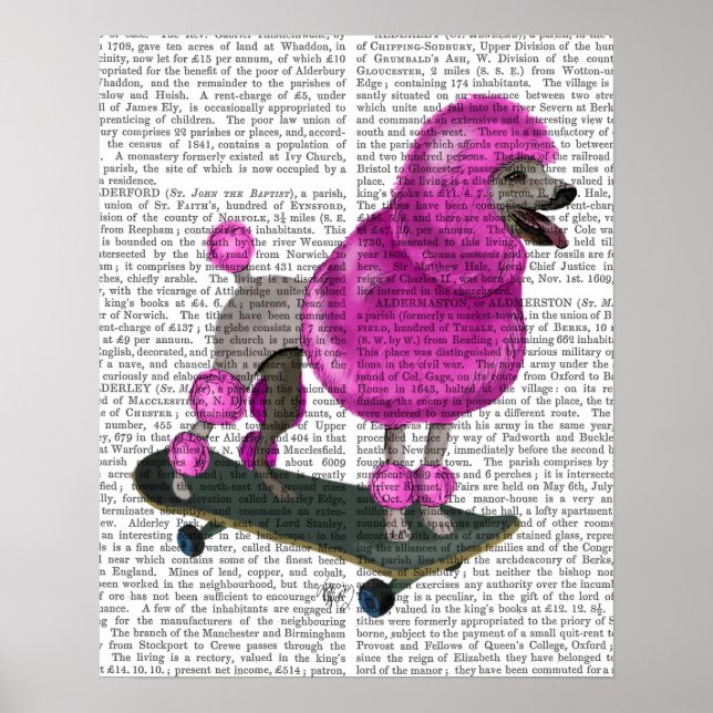 Poster Nunca lutar com porcos (Frente)