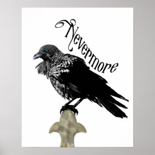Poster Nunca mais Raven