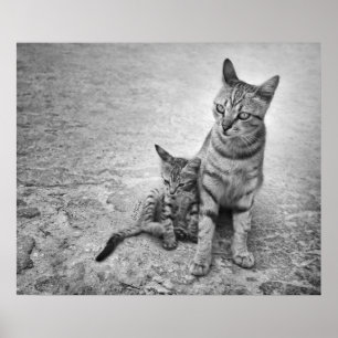 Pôster Nunca Me Deixe Sozinha