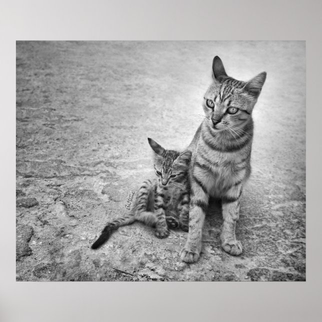 Pôster Nunca Me Deixe Sozinha (Frente)