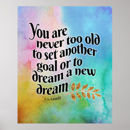 Poster Nunca muito velho para sonhar