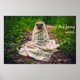Pôster Nunca pare de ser Pug estranho na cobertura