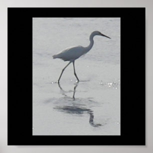 Pôster Nunca Sozinha