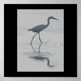 Pôster Nunca Sozinha