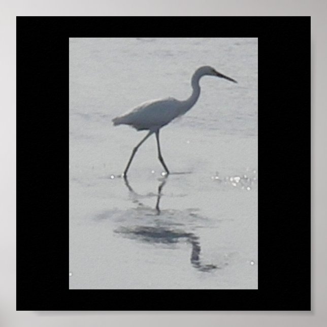 Pôster Nunca Sozinha (Frente)