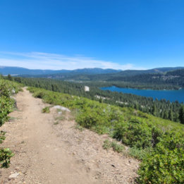 Poster Nunca! Talvez.