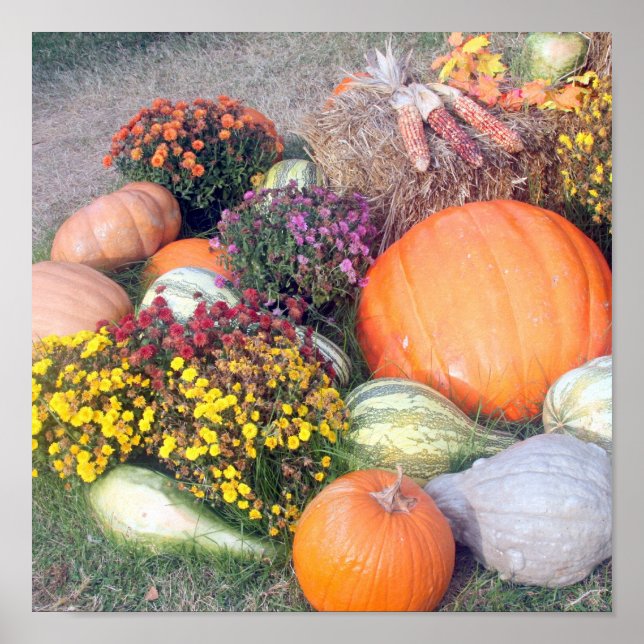Poster Nuvens e abóboras (Frente)