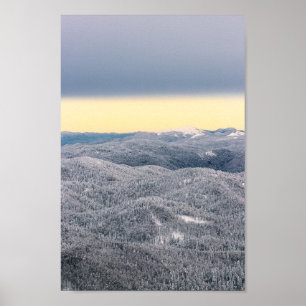 Poster Nuvens negras céu ensolarado e floresta de invern