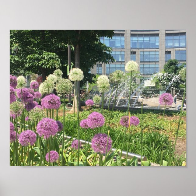 Pôster NYC Columbus Circle Nova Iorque Purple Allium (Frente)