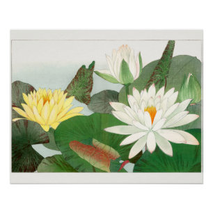 Pôster Nymphaea lotus, xilogravura japonesa, 1917
