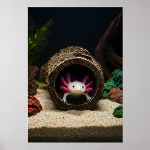 Poster O Abode Axolotl