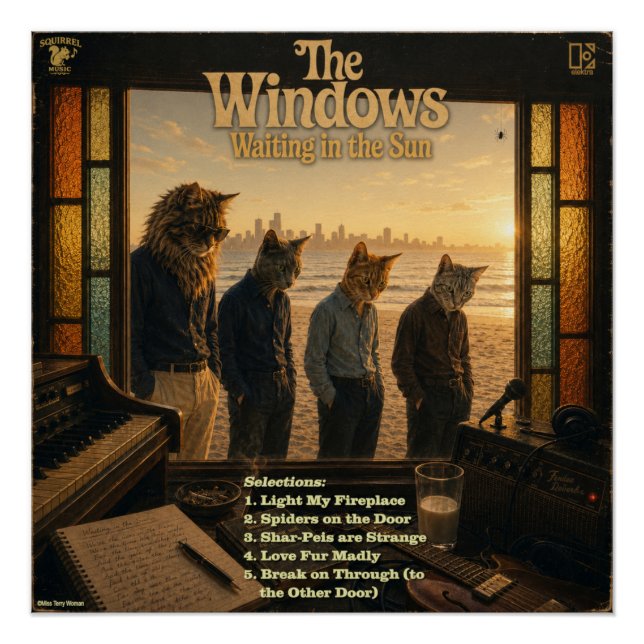 Pôster O Álbum do Windows: uma Paródia (Frente)