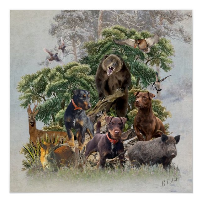 Pôster O alemão Jagdterrier sempre pronto para caçar (Frente)