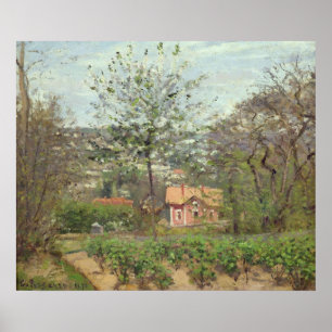 Poster O Algodão, ou a Casa Rosa