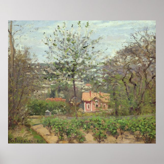 Poster O Algodão, ou a Casa Rosa (Frente)