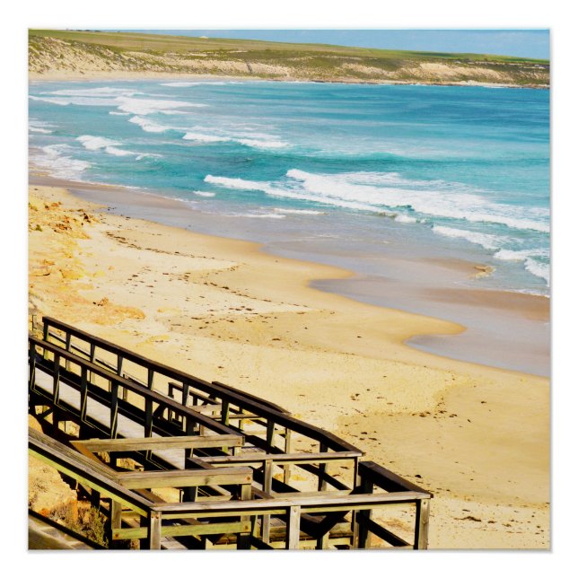 Pôster O Alto Nível Está Chegando. (Frente)