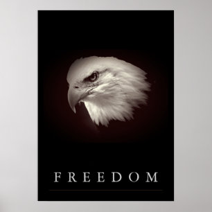 Pôster O americano acastanhado Eagle da liberdade
