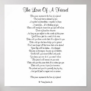 POSTER O AMOR DE UM AMIGO