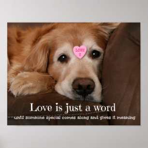 Poster O amor do golden retriever é apenas uma palavra