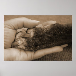 Poster O amor é incondicional