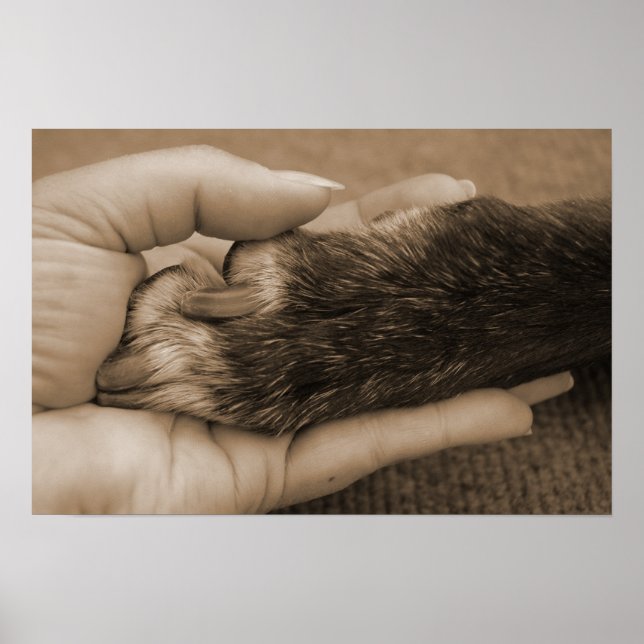 Poster O amor é incondicional (Frente)