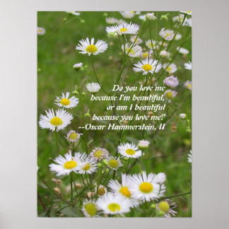 Pôster O amor é lindo