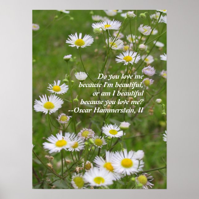 Pôster O amor é lindo (Frente)