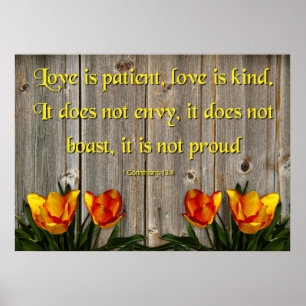 Poster O amor é paciente